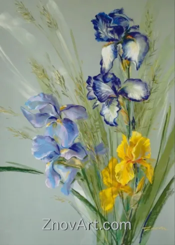 Irises