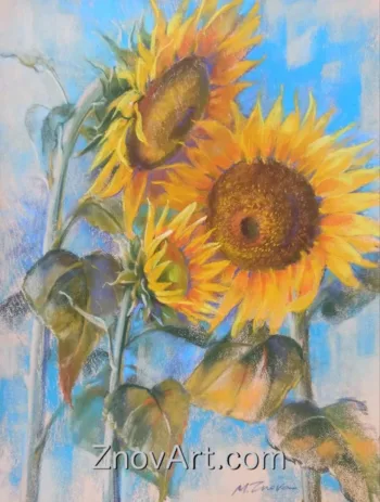Sunflowers