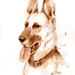 Eastern European shepherd dog "Freya"