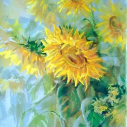 Sunny day. Sunflowers