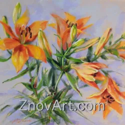 Lilies