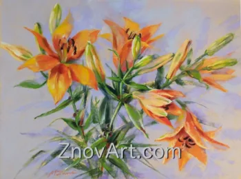 Lilies