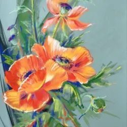 Poppies