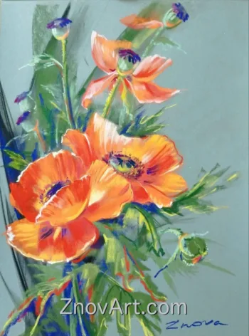 Poppies