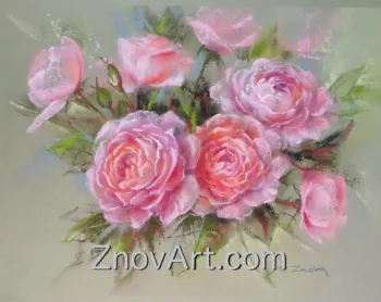 Pink roses