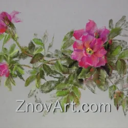 Rose