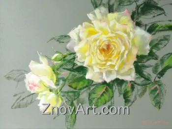 Roses