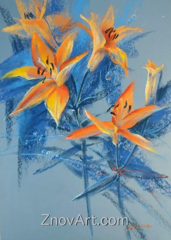 Lilies