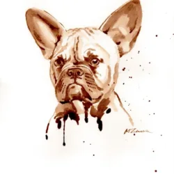 French bulldog "Lisa"