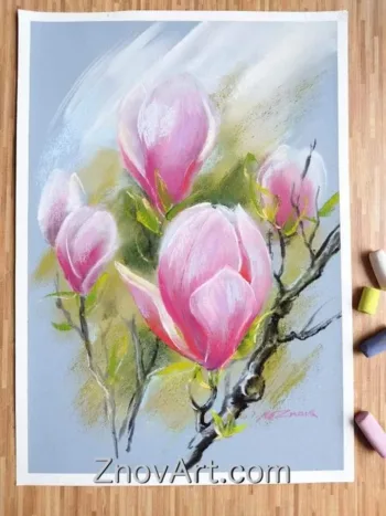 Magnolia