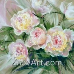 Peonies