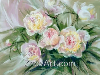 Peonies