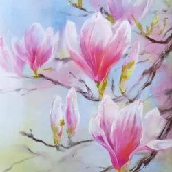 Magnolia