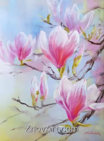 Magnolia