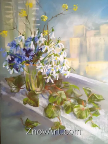 Primroses