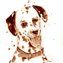 Dalmatian  "Archie"