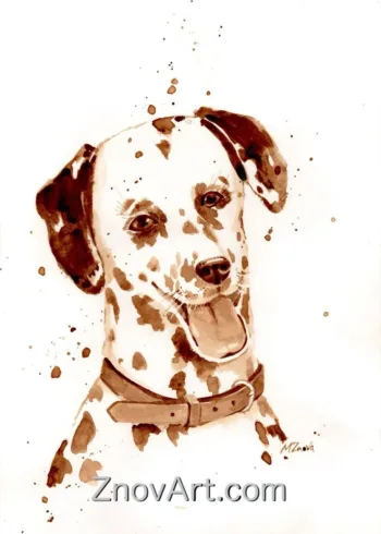 Dalmatian  "Archie"