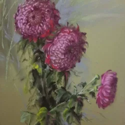 Chrysanthemums