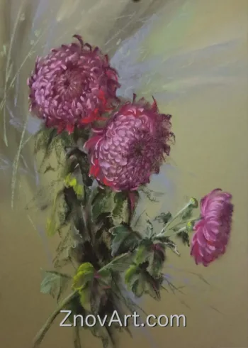 Chrysanthemums