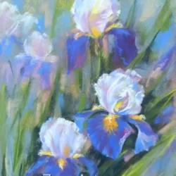 Irises