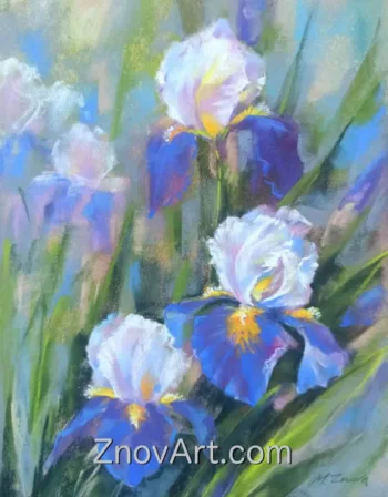 Irises