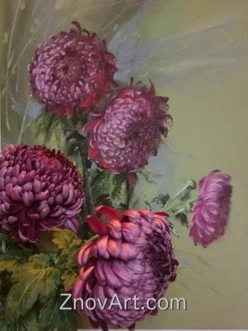 Chrysanthemums - Image 2