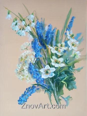 Primroses