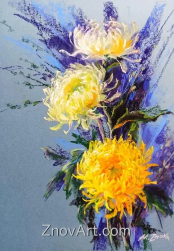 Starry night. Chrysanthemums