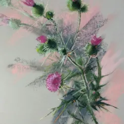 Thistle