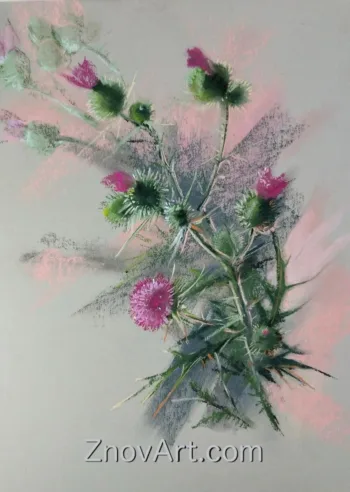 Thistle
