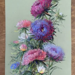 Asters