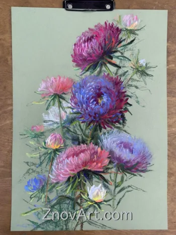Asters