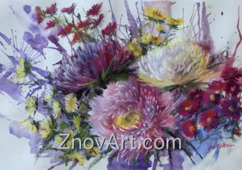 Asters