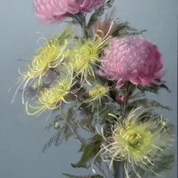 Autumn in pink colors. Chrysanthemums