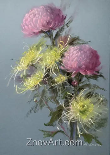 Autumn in pink colors. Chrysanthemums
