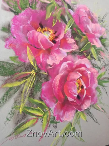 Peonies