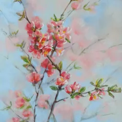 A spring flower. A branch of quince