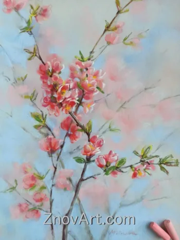 A spring flower. A branch of quince