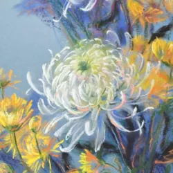 White chrysanthemums