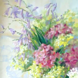 Hydrangea