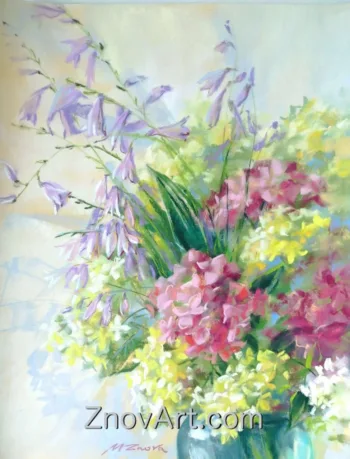Hydrangea