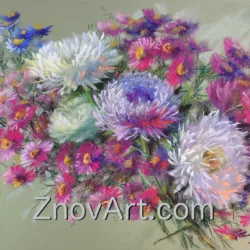 Asters