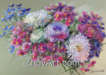 Asters