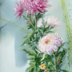 Chrysanthemums. Warm memories