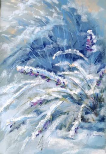 Snow-covered lavender. The first snow