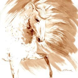 Wind in mane