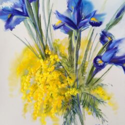 The colors of spring. Irises and mimosa