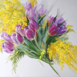 Tulips and mimosa