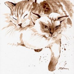 Love and cats