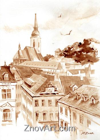 The roofs of Bratislava